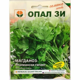 Магданоз италиански Гигант