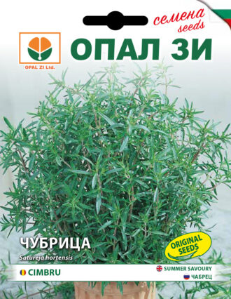Чубрица местна