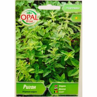 Риган