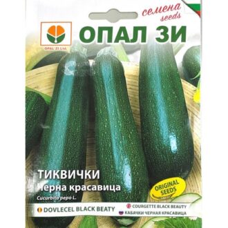 Тиквичка Черна Красавица