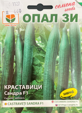 Краставици Сандра F1