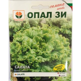 Салата Джентелина