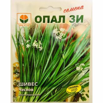 Шивес - чеснов