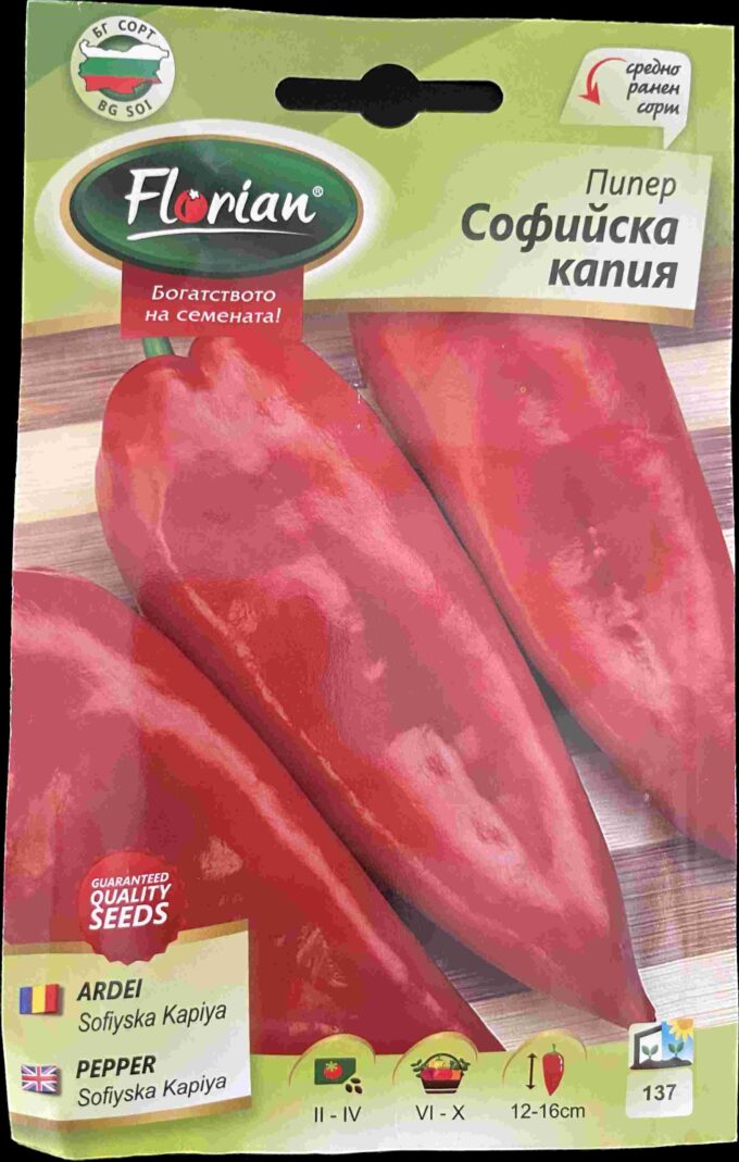 DD89C91E-7759-4A31-809B-BF583DB8ABFF