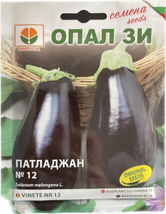 Патладжан №12