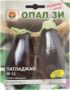 Патладжан №12