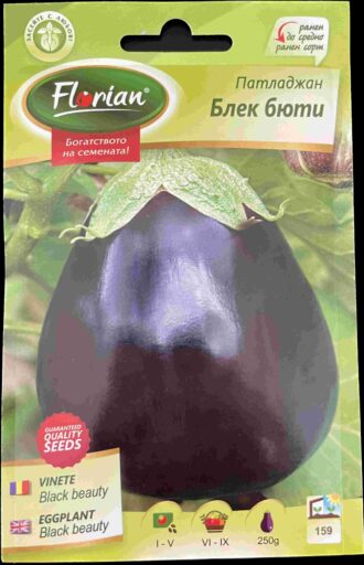 Патладжан Блек Бюти