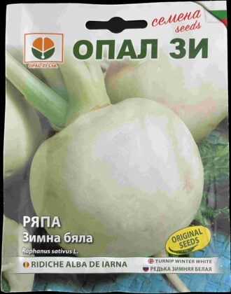 Зимна бяла ряпа