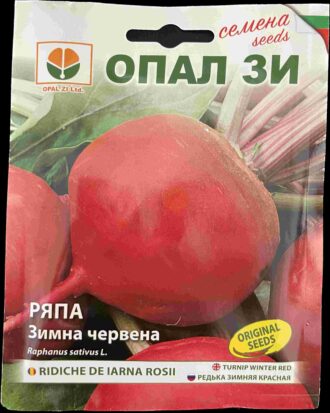 Зимна червена Ряпа