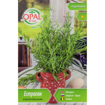 Image_20251009_0002_pdf__1200_x_1200___________23_-350x350