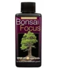bonsaifocus
