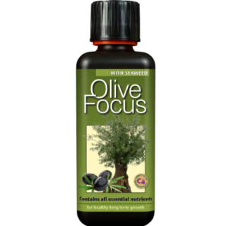 Olive Focus - Тор за маслиново дърво 300мл, 1л