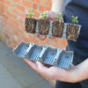garland-g241-24-cell-self-watering-fast-root-kit-самополиващ-пропагатор-с-24-гнезда (2)