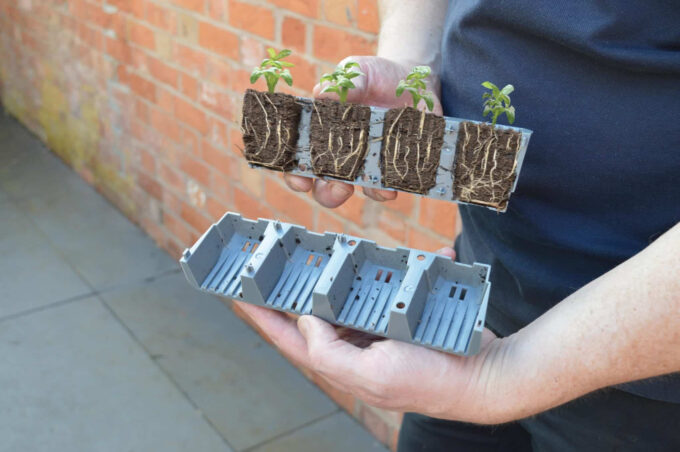 garland-g241-24-cell-self-watering-fast-root-kit-самополиващ-пропагатор-с-24-гнезда (2)