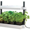 garland-g263w-micro-grow-light-garden-микро-градина-с-led-осветление