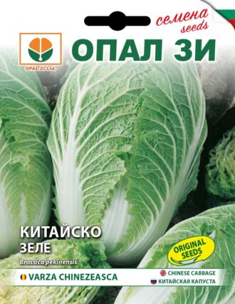 Китайско зеле Хилтън