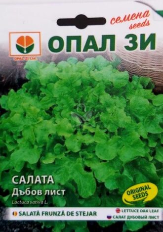 Салата Дъбов Лист - Зелена