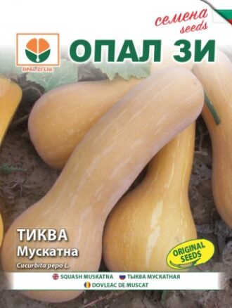Тиква Мускатна