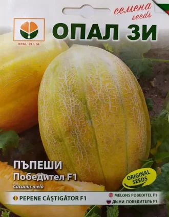 Пъпеш Победител F1