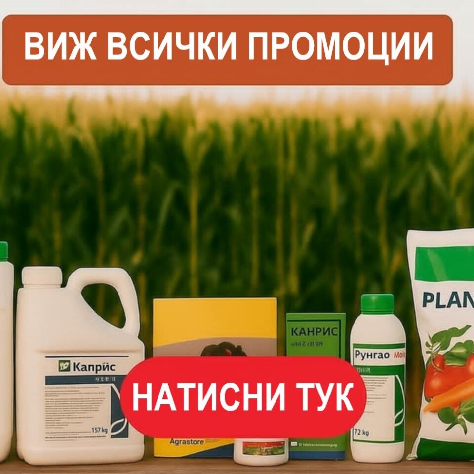 Без име