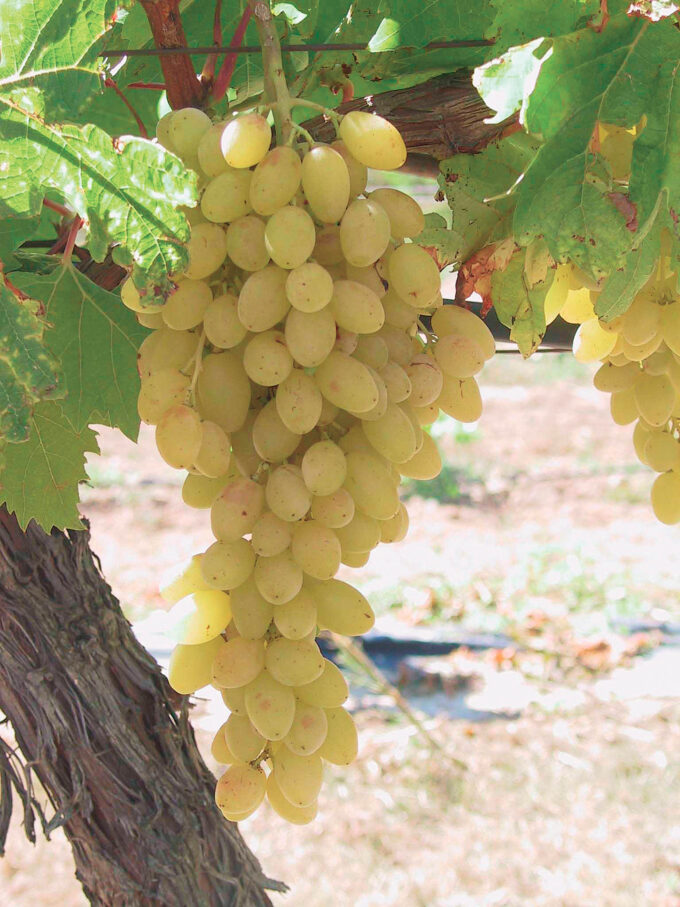 File written by Adobe Photoshop¨ 4.0