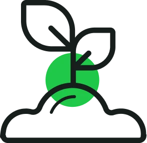 Почви и торфени смеси