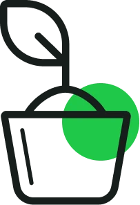 Разсадо-производство