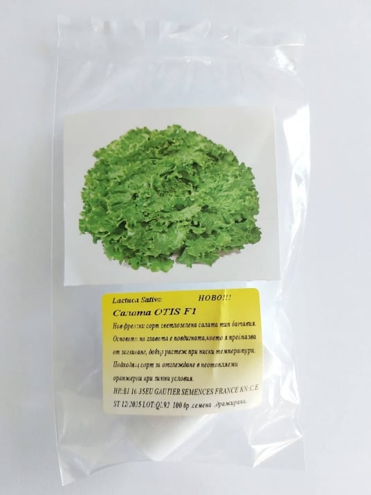 311138086_3301435950145520_1118531879594708528_n